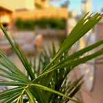 Mirador Del Atlantico With Heated Pool * Puerto de Santiago (Tenerife)